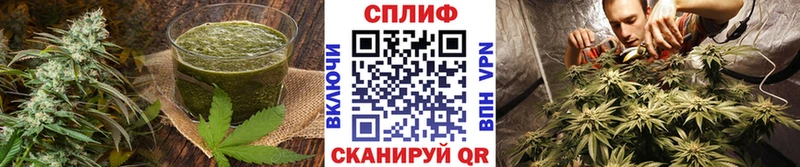 Canna-Cookies конопля  кракен tor  Междуреченск 