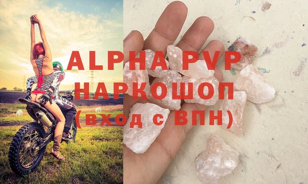 spice Беломорск